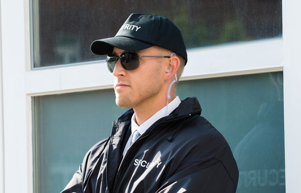 security services