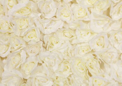 Flower Wall Hire